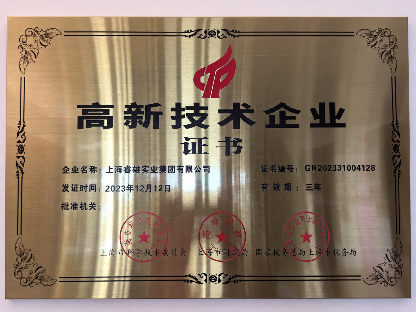 Hochtechnologie-Unternehmen der Stadt Shanghai