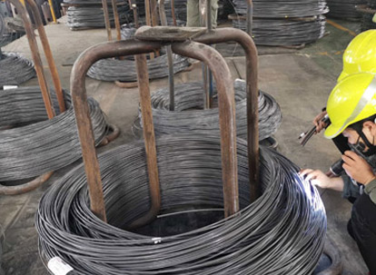 Erscheinung erkennung-vor Ort